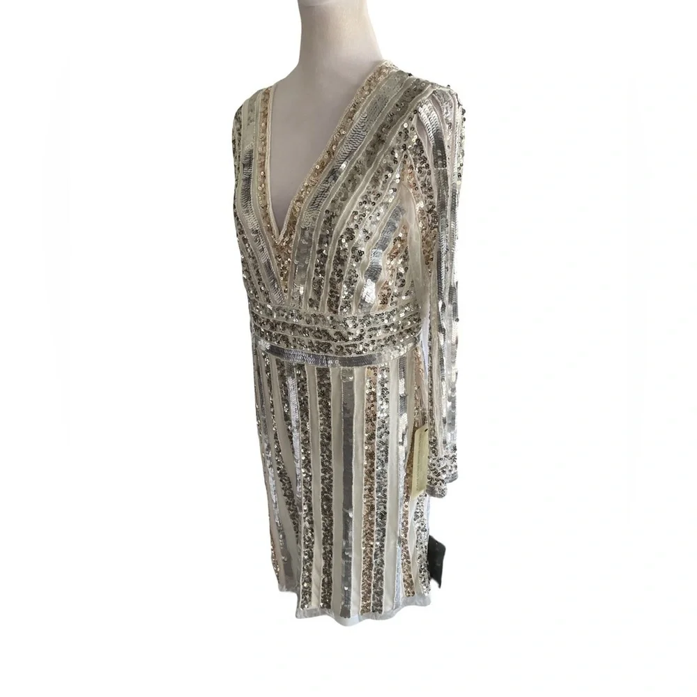 Adrianna Papell Ivory, Silver and Gold Stripe Sequin and Bead Sheath Dress 14